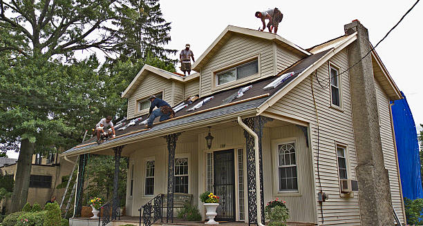 Best Roof Gutter Cleaning  in Carson City, MI